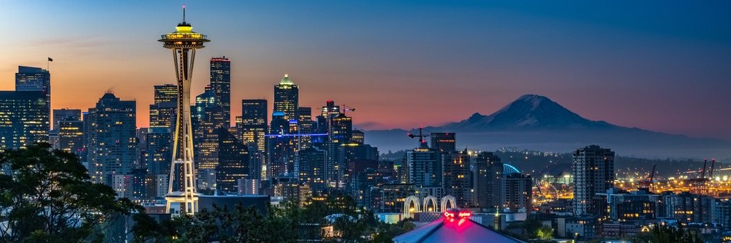 🇺🇲 SeaHusky⭐ banner