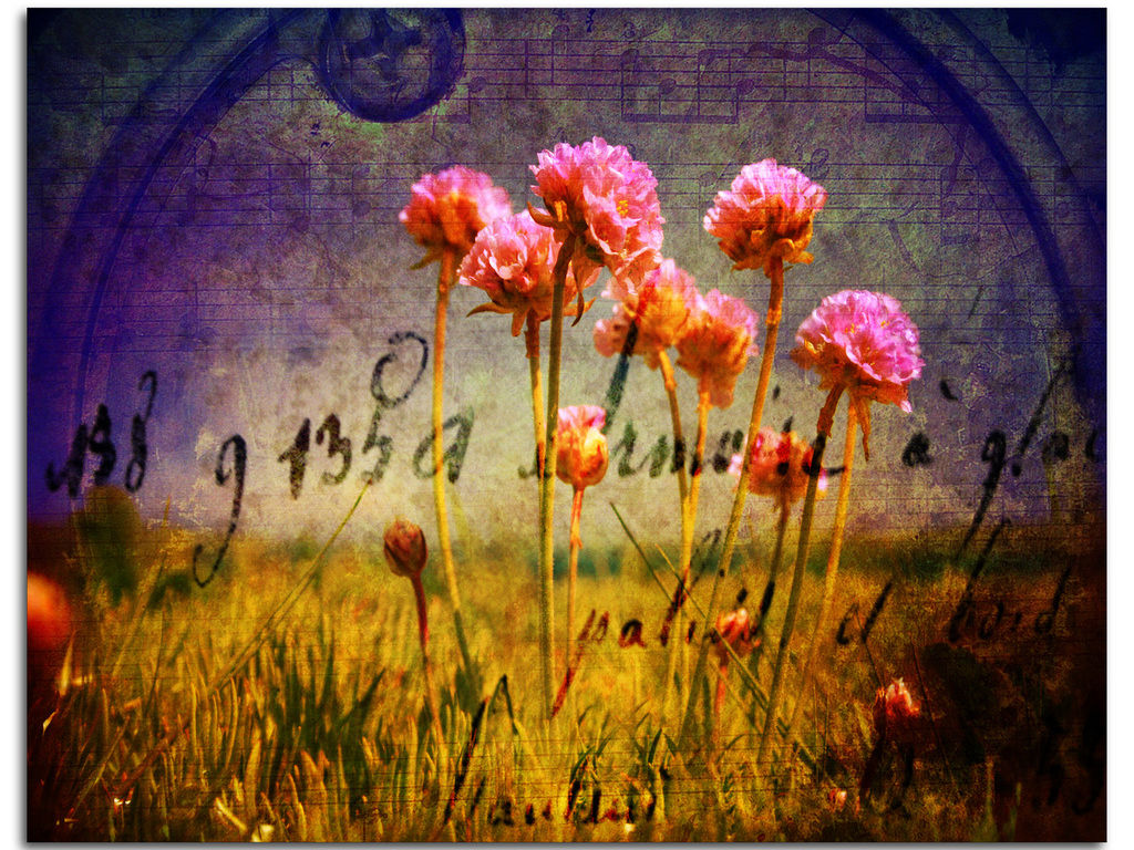 Kensi Smith! banner
