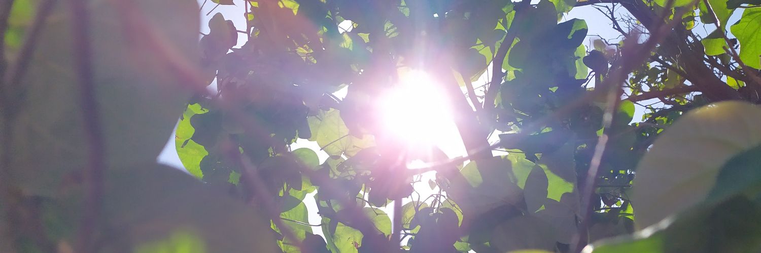 Felipe__SA's profile banner image