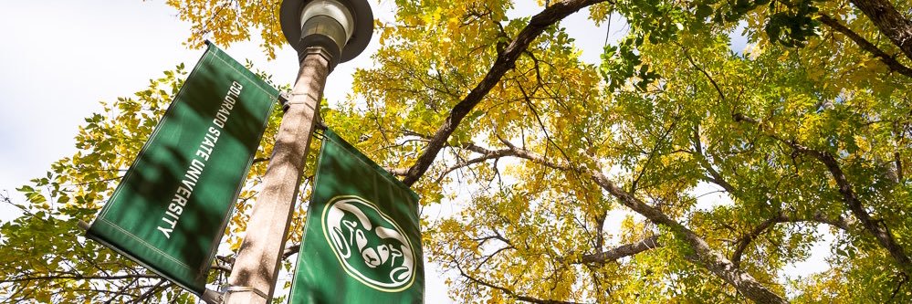 Kimberly Stern banner