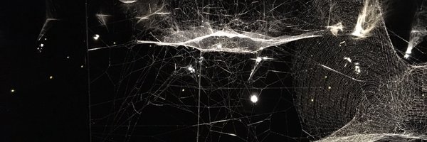 ch4rleston Profile Banner