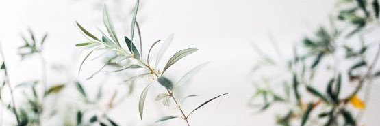 ندى banner