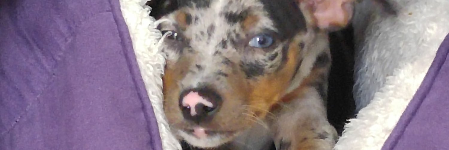 QueenGertrudeMH's profile banner image
