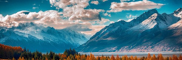 activedinc Profile Banner