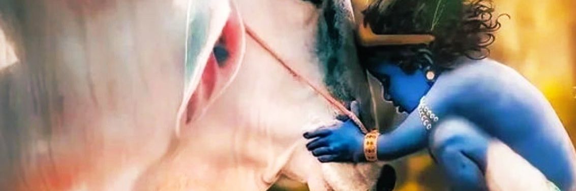 Shree Odhav Media©️®️🇮🇳 banner
