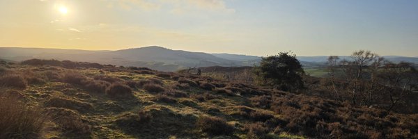 dave_renwick Profile Banner