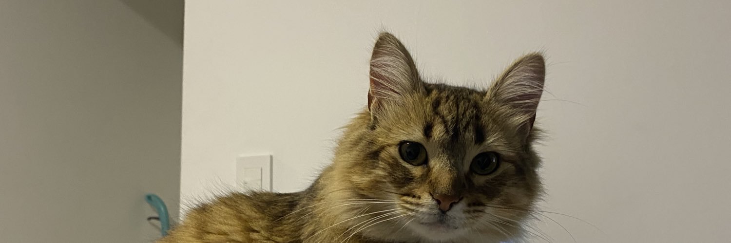 LuliRodrigguez's profile banner image