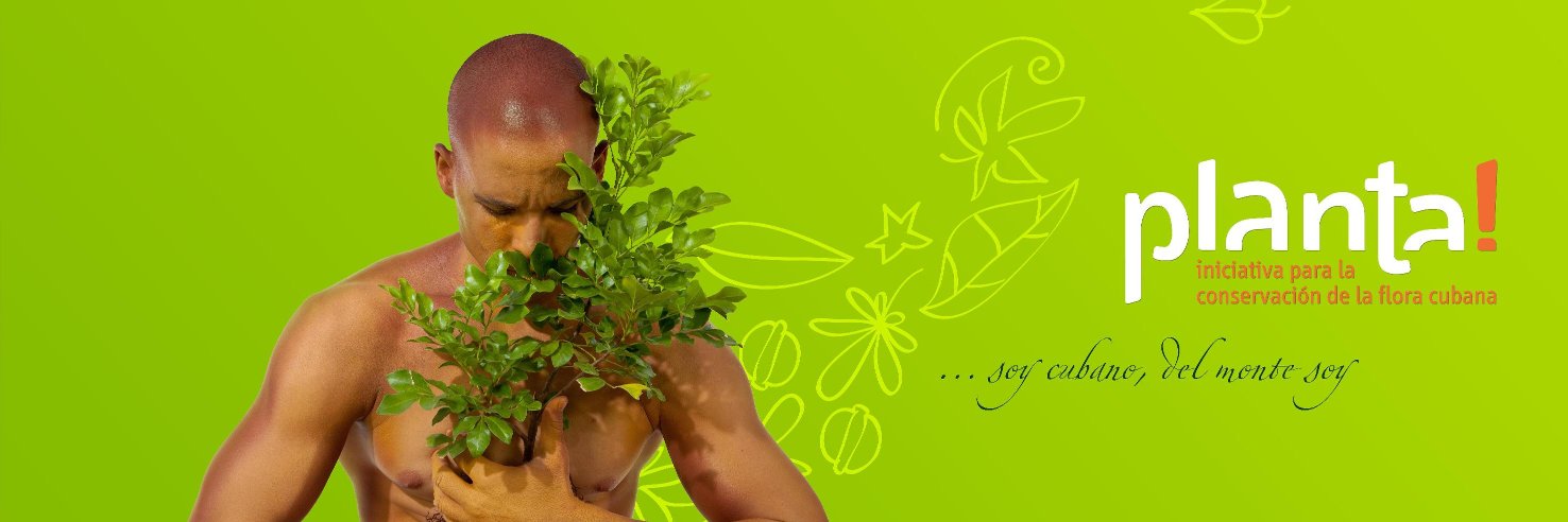 planta_cuba's profile banner image