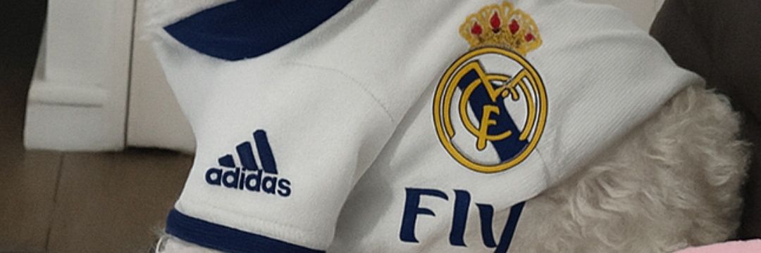 La verdad Duele banner