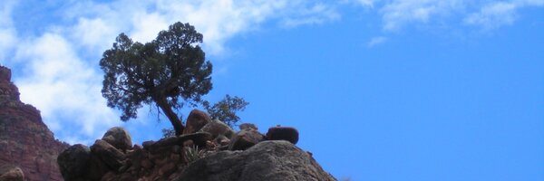 gbosslet Profile Banner