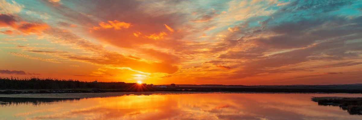 whtbLd's profile banner image