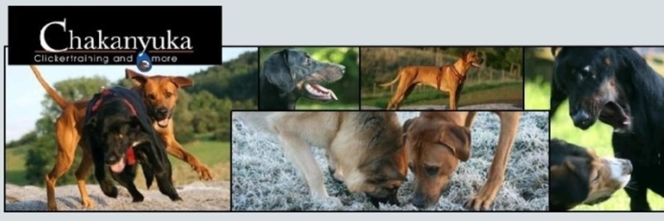ChakanyukaClick's profile banner image