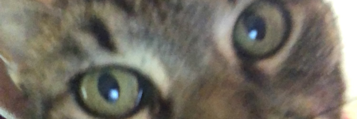 28carlapinto_'s profile banner image