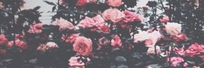 rae_anne98's profile banner image