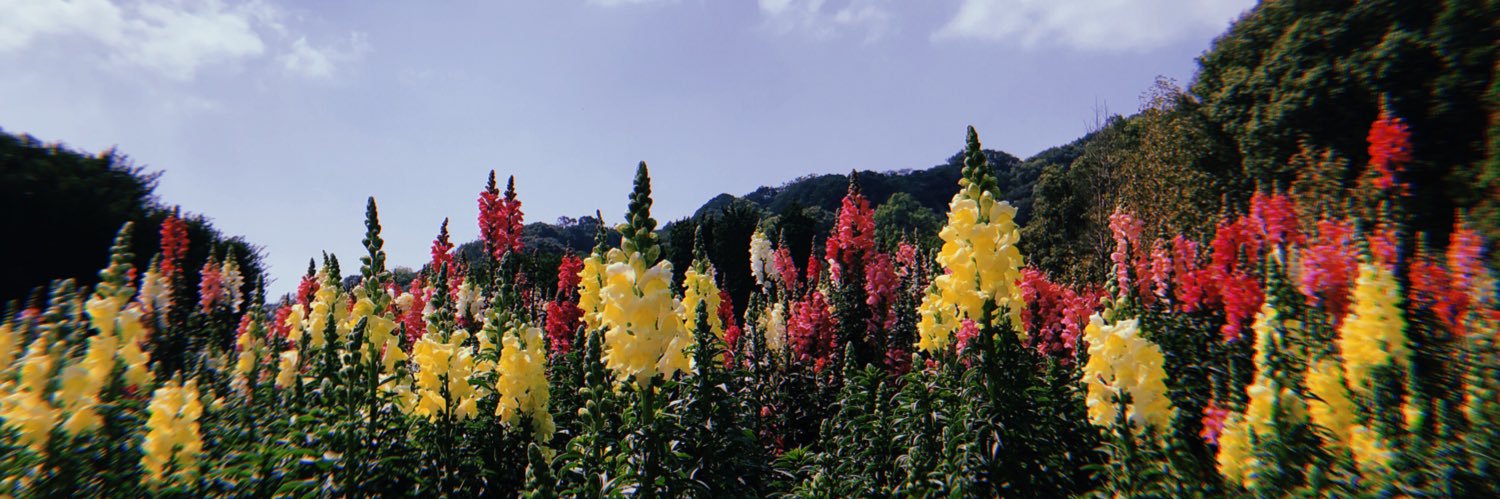 Ulike2244's profile banner image