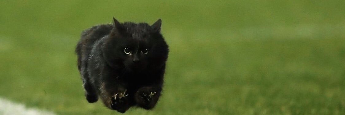 JoePatton_'s profile banner image