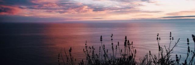 jess_walker_'s profile banner image