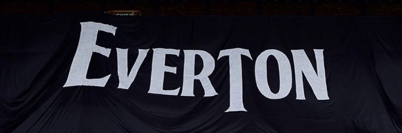 EvertonFriend's profile banner image