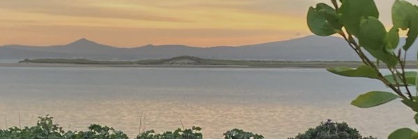CMacCoille Profile Banner