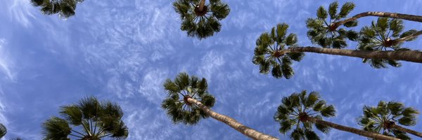 StefanViB Profile Banner