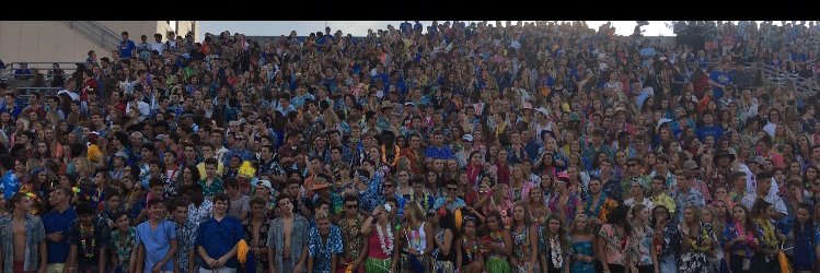 Greyhound Nation banner