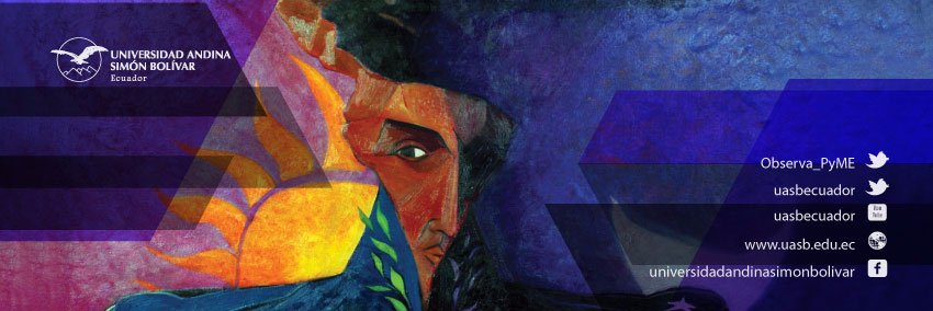 Observatorio PyME banner