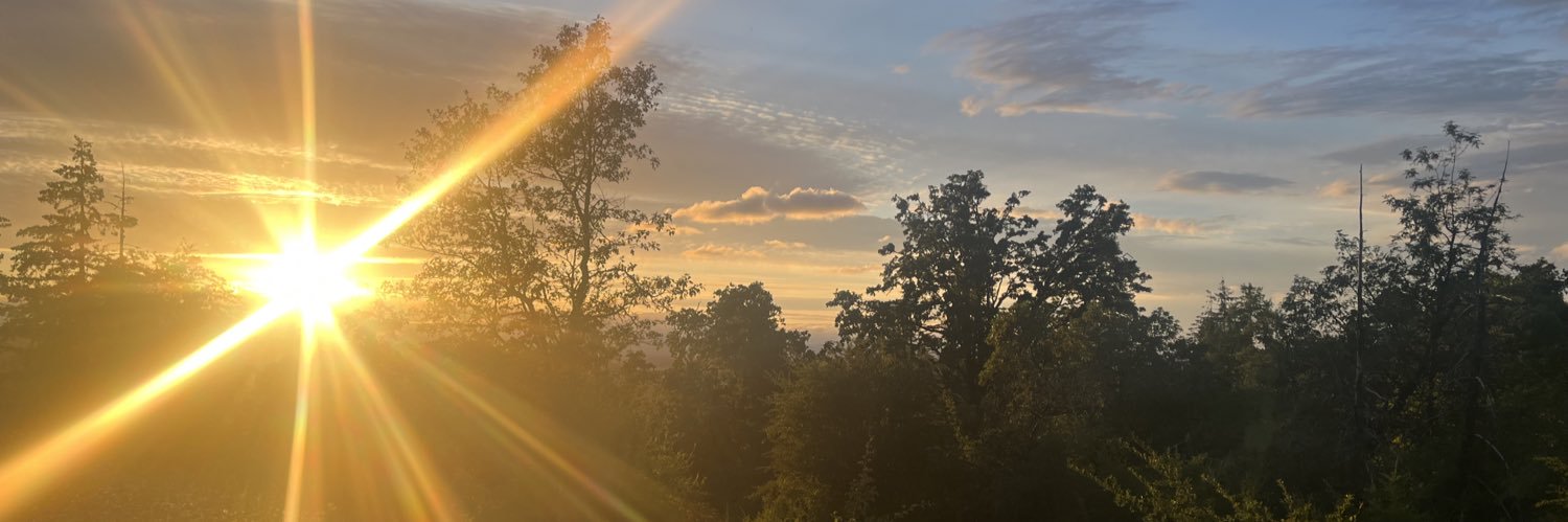 Diclonius Queen banner