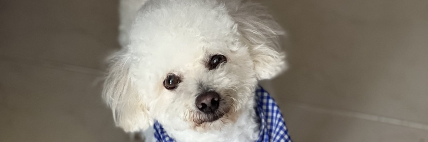 DanielauLop's profile banner image