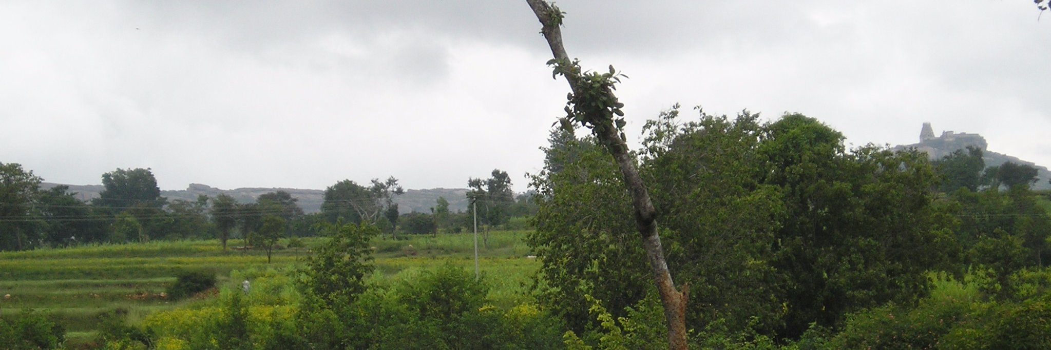 Anantha Murali banner