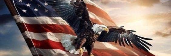 MrSquirrelMan banner