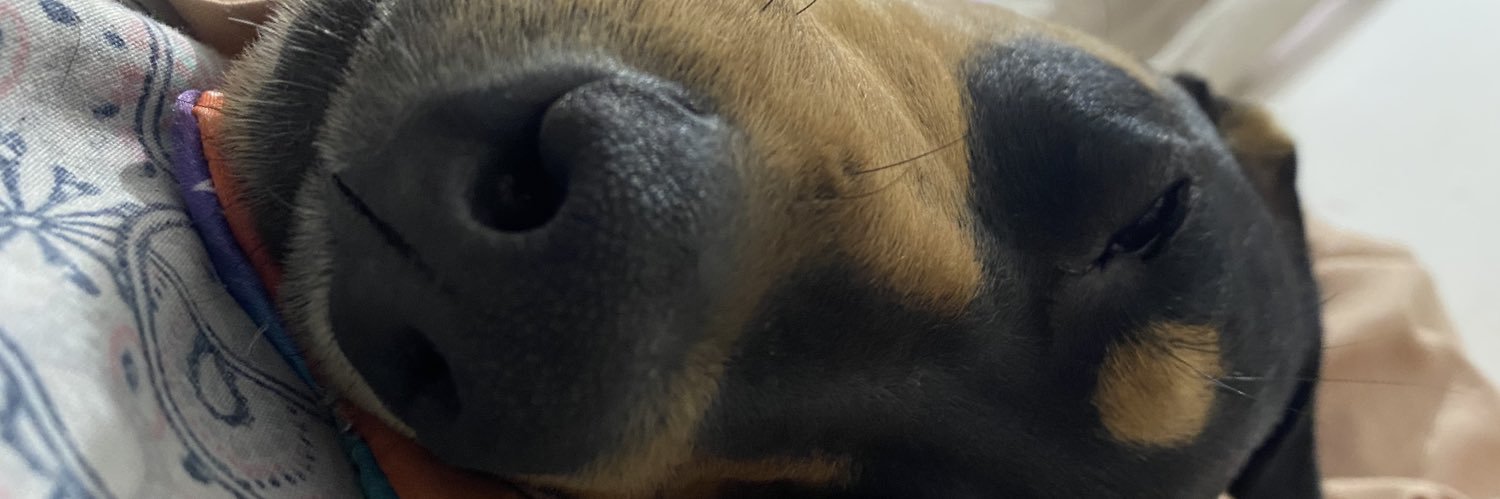 Felantthv's profile banner image