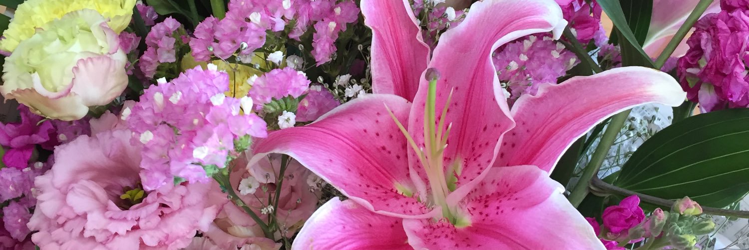 IRIS_0414's profile banner image