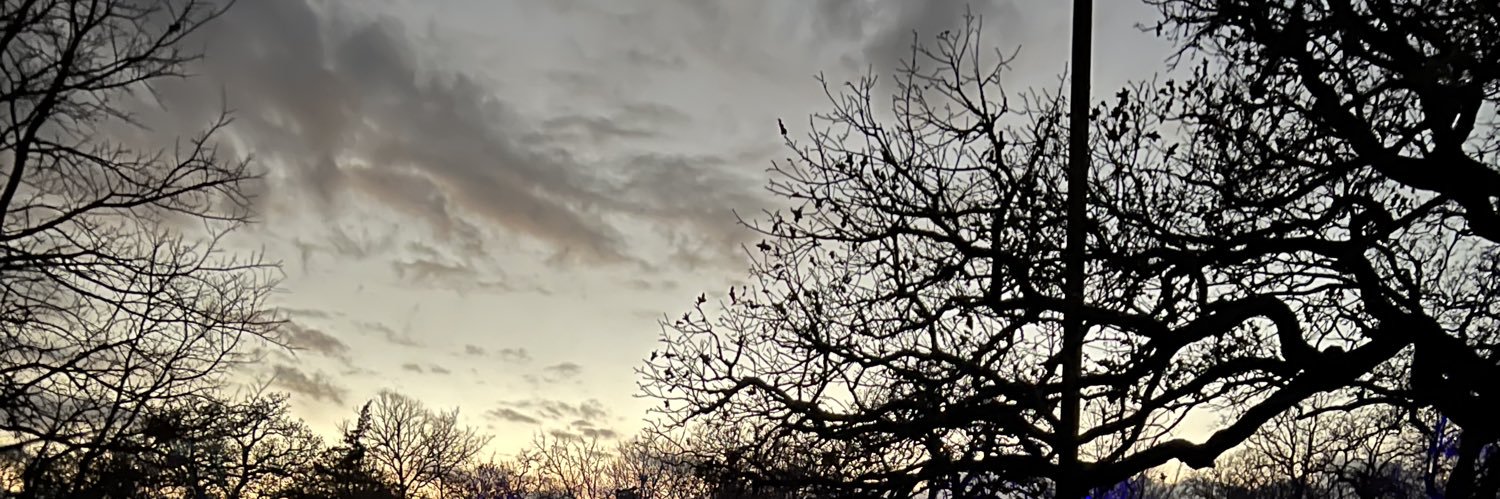 ltt_tte's profile banner image