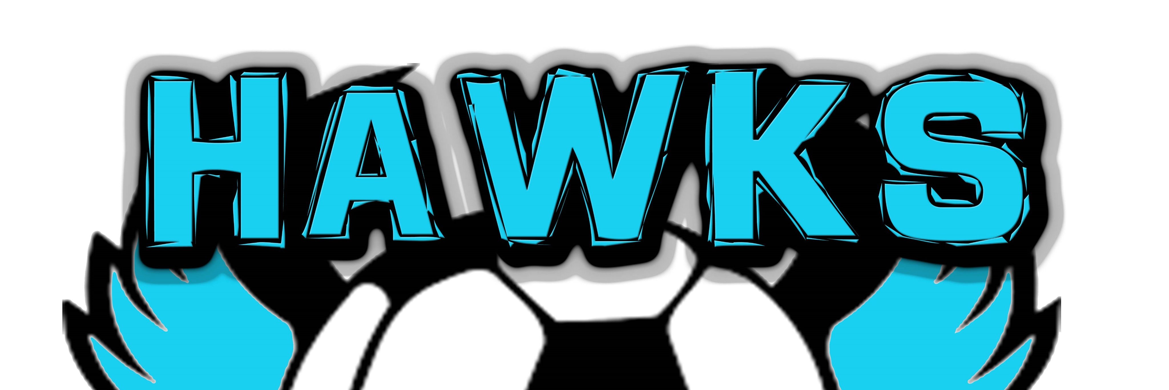 HAWK YEAH! banner