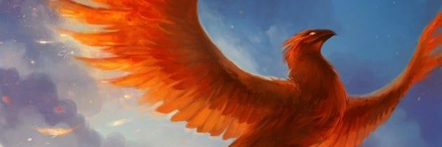 lima_vaine's profile banner image