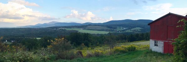 GarethRhodes Profile Banner