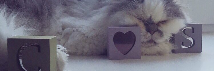 sccccc_'s profile banner image