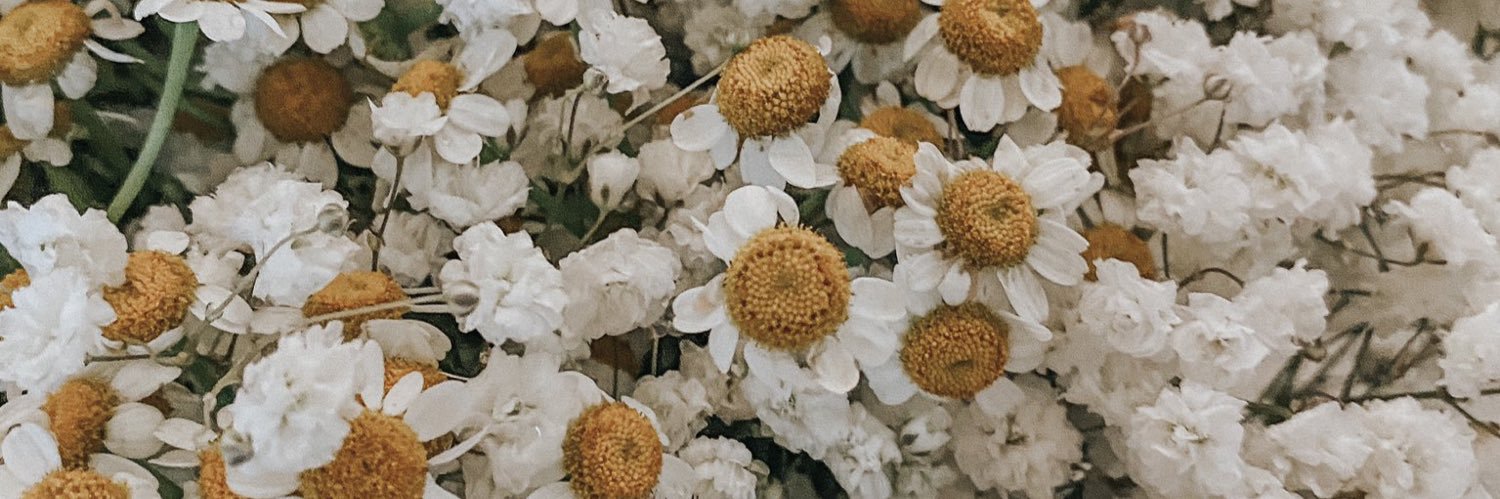 ayeshalee_'s profile banner image