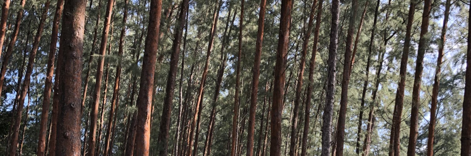 HakimBahrin's profile banner image