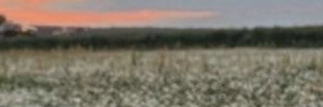 T_on41's profile banner image