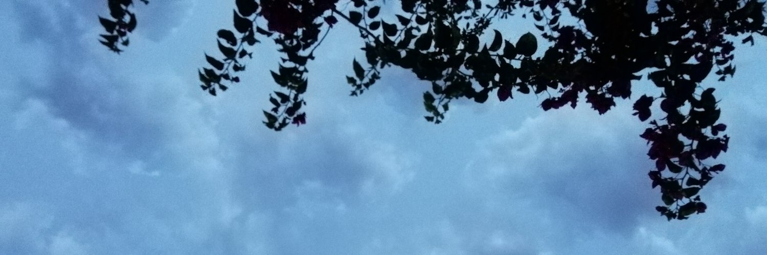 DoloFreigedo's profile banner image
