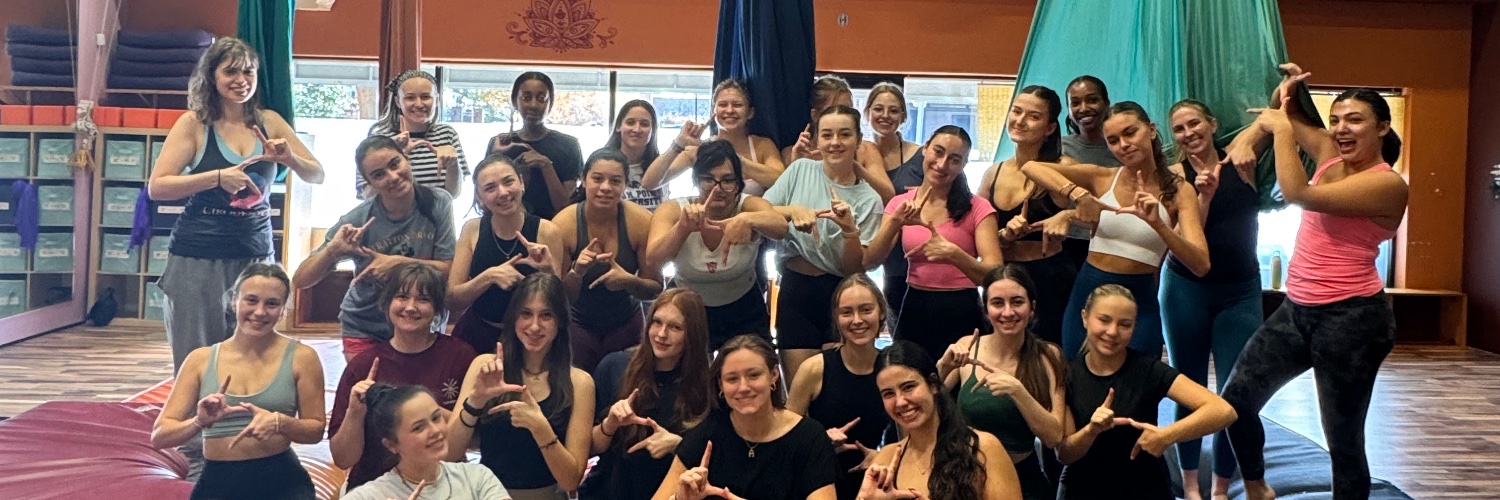 Cirque de Vol banner