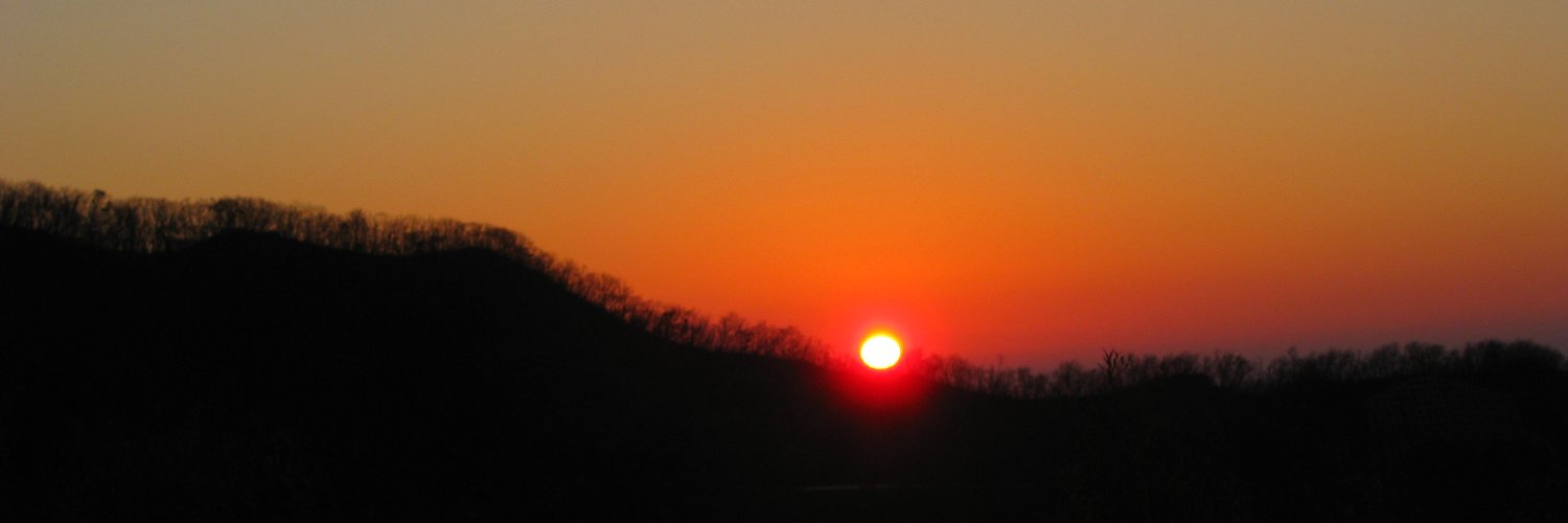 Mochizuki Shin banner