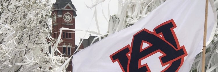 PVaccarella21's profile banner image
