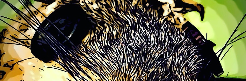 The ODDentity Podcast banner