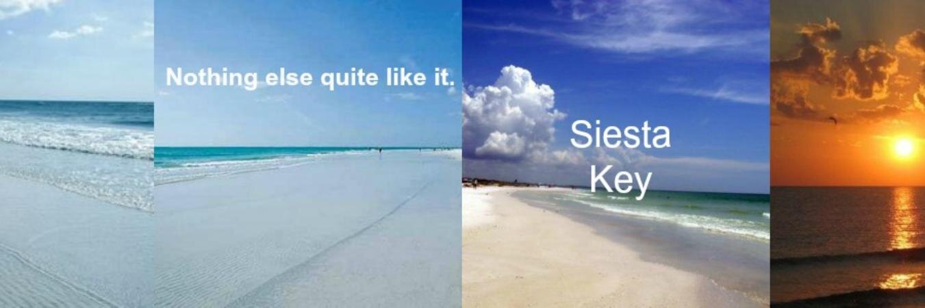 siesta_key's profile banner image