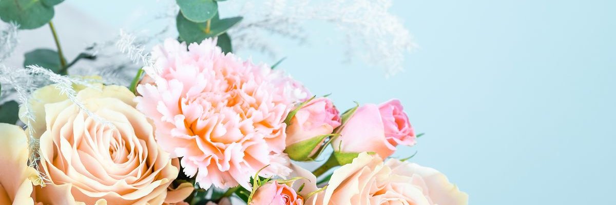 betsymchugh's profile banner image