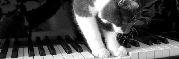PianoTimes's profile banner image