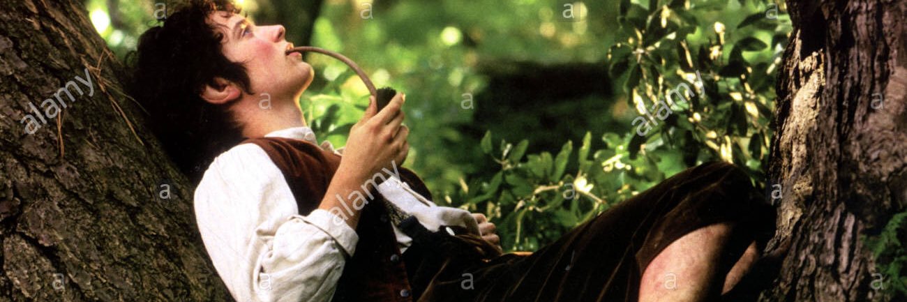 Boone Rockwell banner