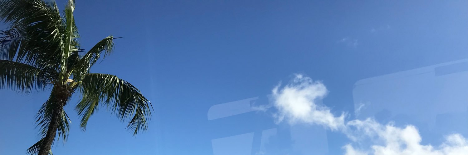 そら豆さん banner